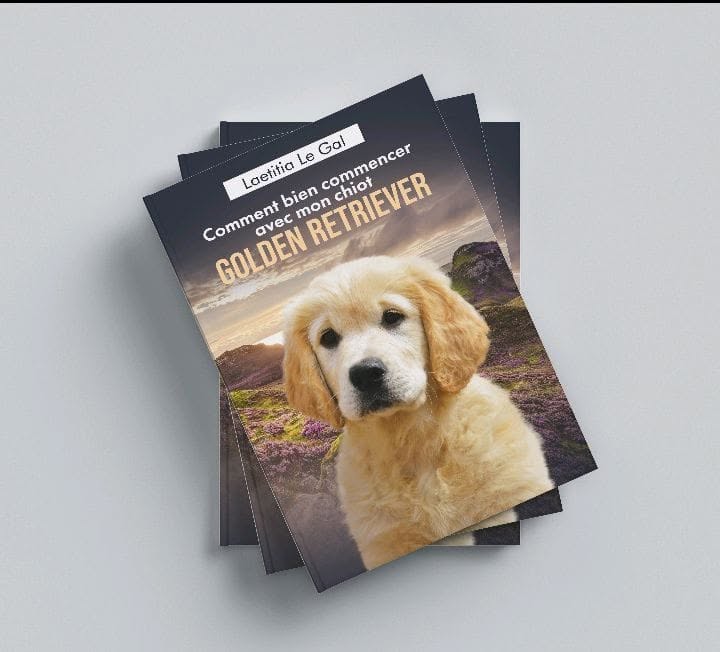 Couverture du livre Comment bien commencer avec mon chiot Golden Retriever, par Laetitia Le Gal