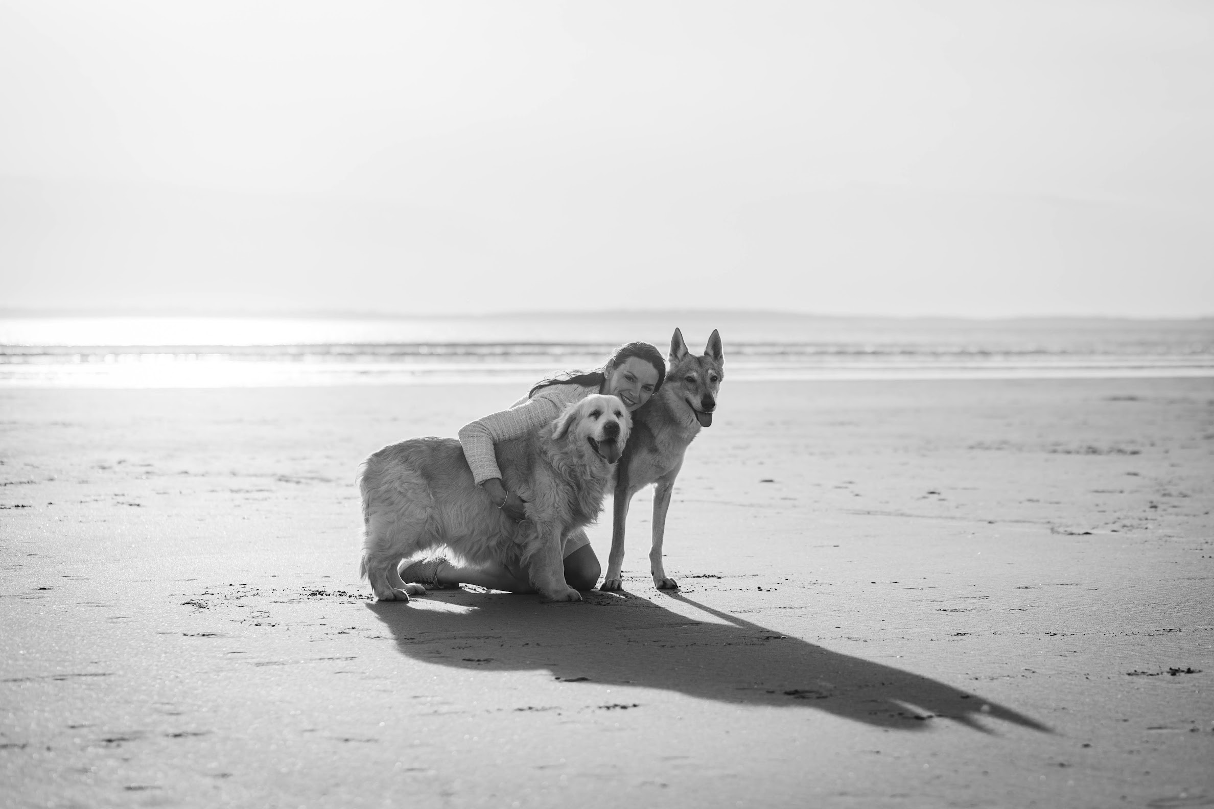 Pearl, chienne-loup tchécoslovaque pisteuse de Laetitia Le Gal