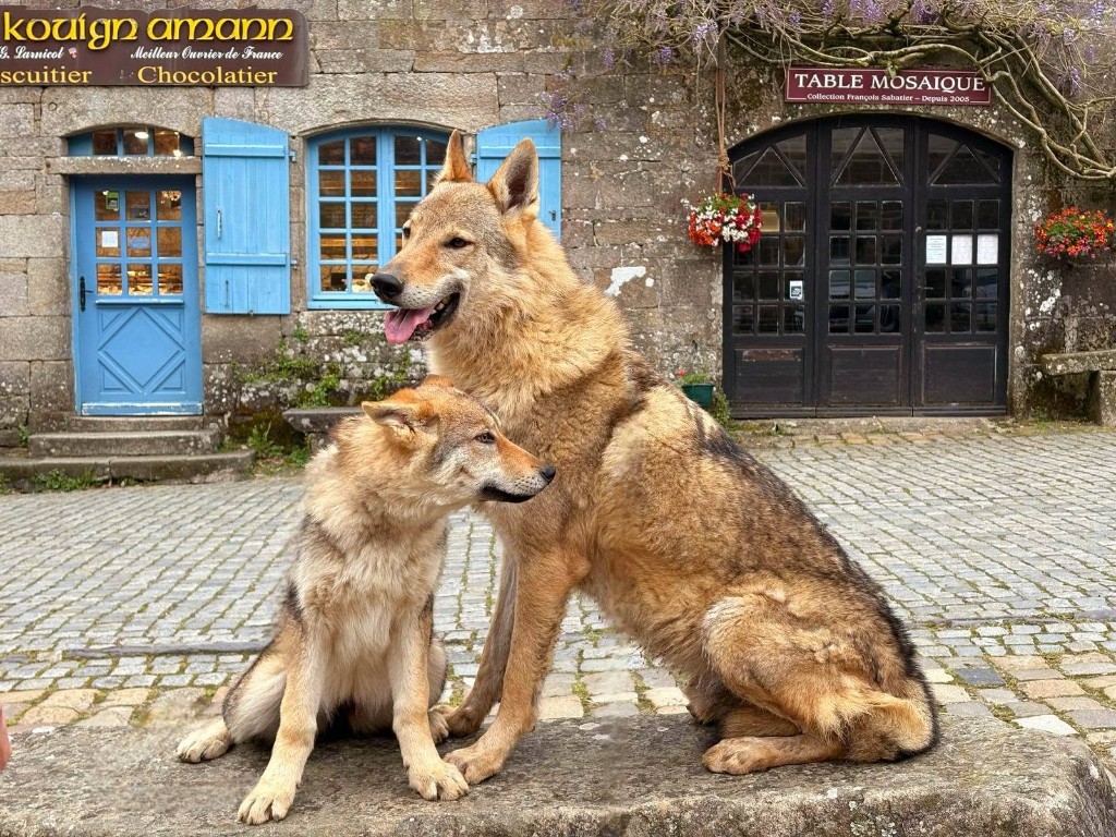 À Locronan